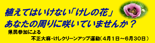 0401-0531_植えてはいけない「けし」について【衛生指導課】