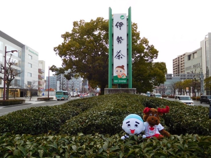 特産茶展示圃で撮影しました。