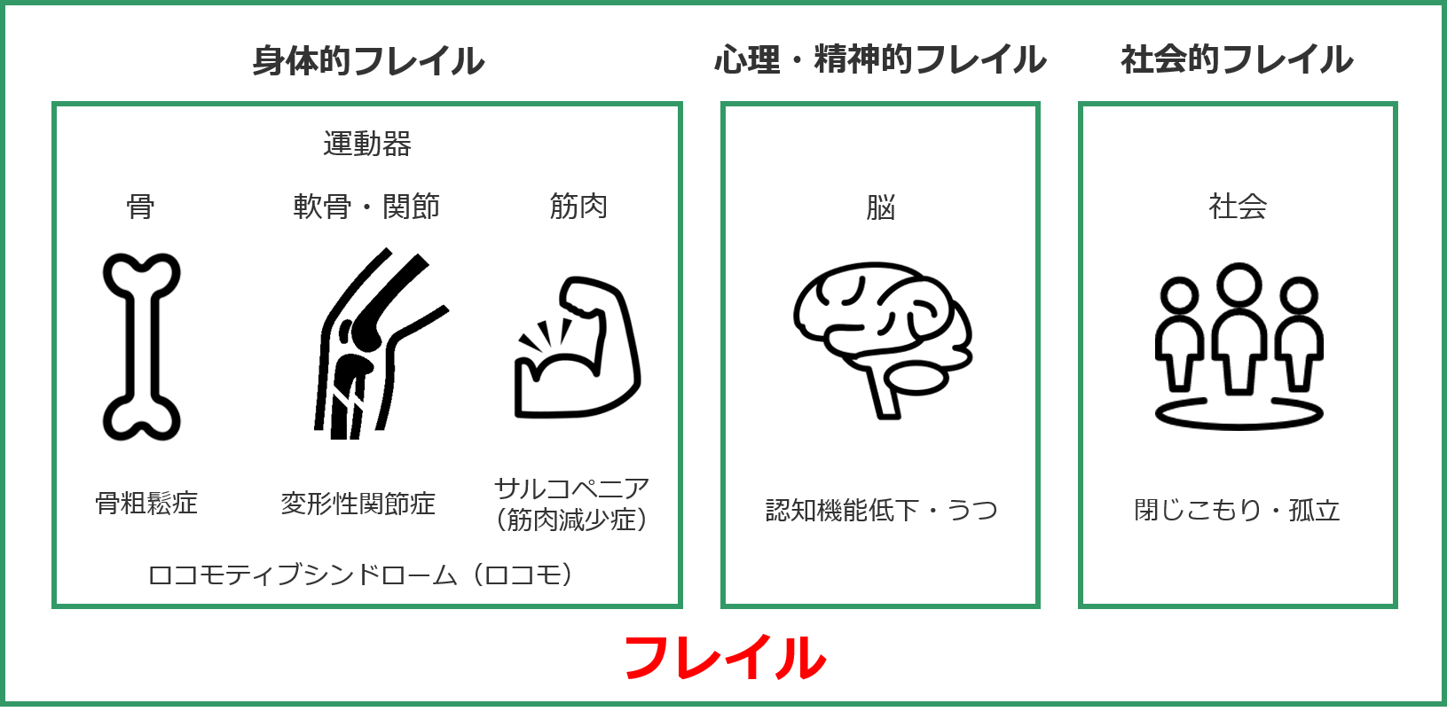 フレイルの多面性を示した画像