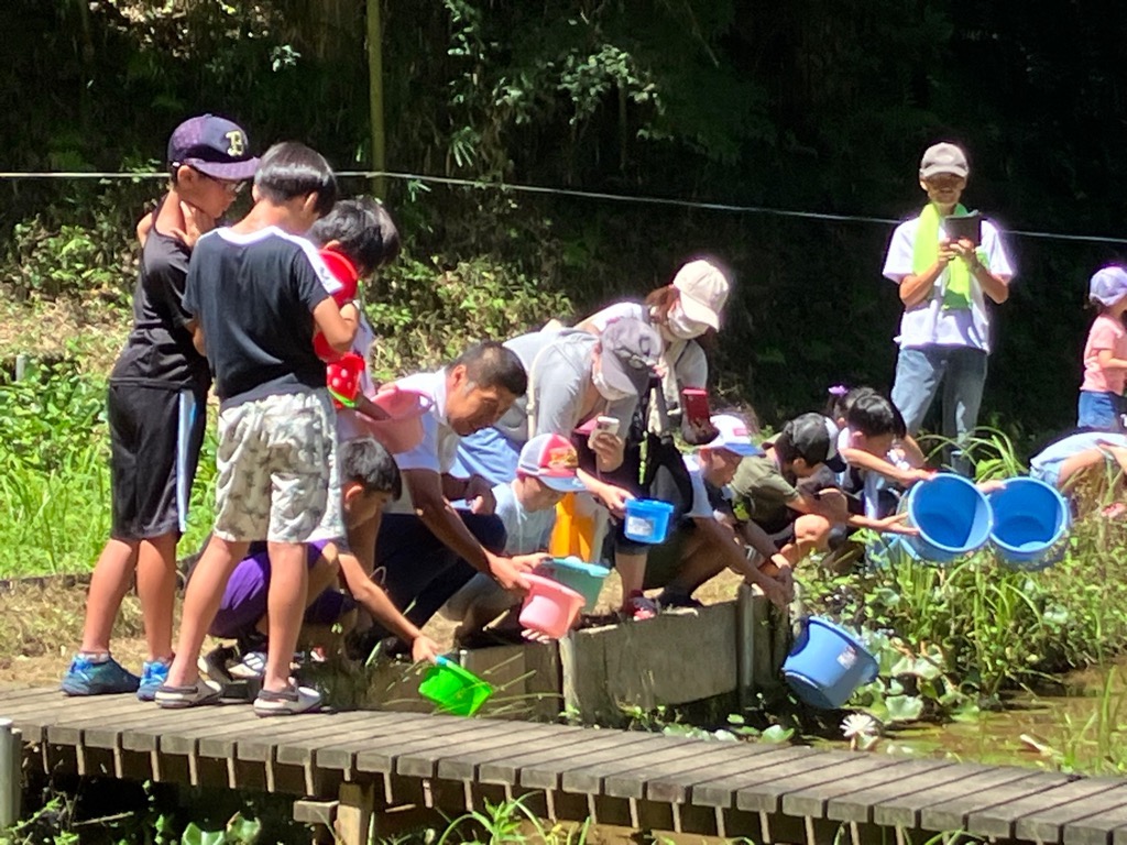 20230717 智積・初瀬ビオトープ メダカの学校・第4回ちしゃくの自然ふれあいまつり