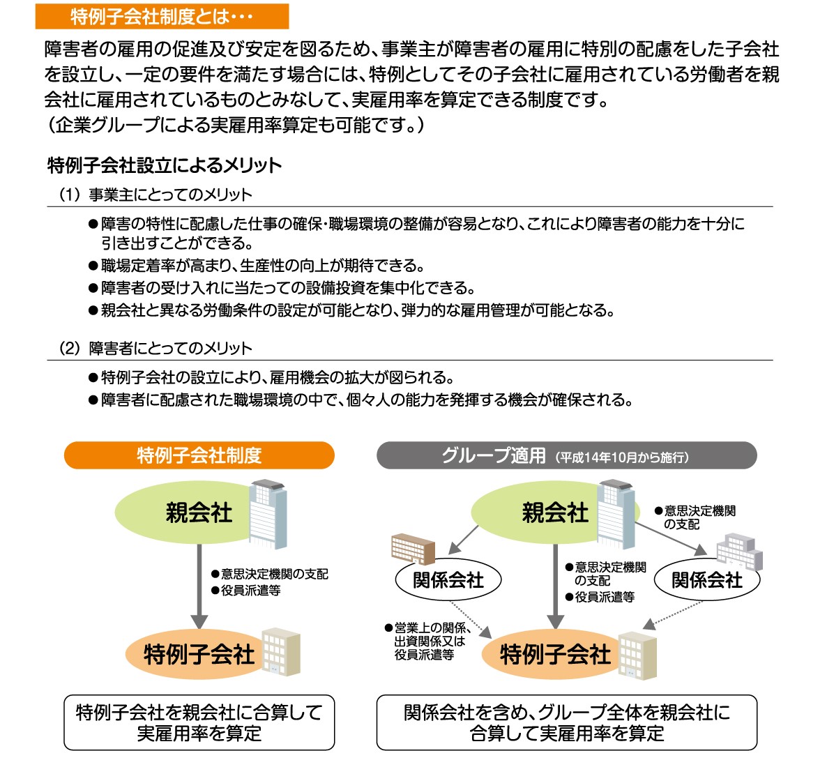 特例子会社について