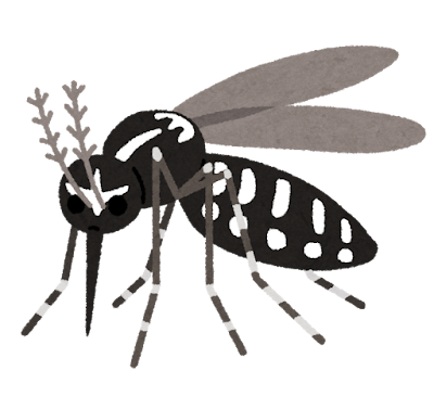 ヒトスジシマカ